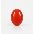 Coral gemstone front view